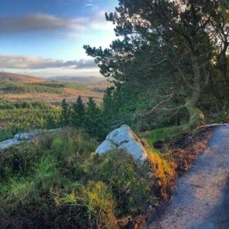 The Mountain Inn Coolaney Exteriör bild